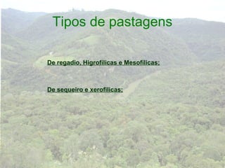 Tipos de pastagens

De regadio, Higrofílicas e Mesofílicas;



De sequeiro e xerofilicas;
 