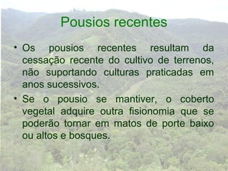 Pousios recentes
• Os pousios recentes resultam da
  cessação recente do cultivo de terrenos,
  não suportando culturas praticadas em
  anos sucessivos.
• Se o pousio se mantiver, o coberto
  vegetal adquire outra fisionomia que se
  poderão tornar em matos de porte baixo
  ou altos e bosques.
 