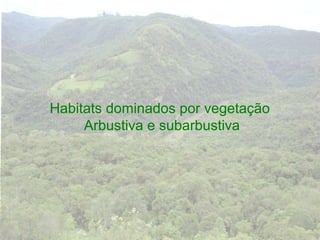 Habitats dominados por vegetação
     Arbustiva e subarbustiva
 