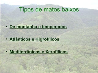 Tipos de matos baixos

• De montanha e temperados

• Atlânticos e Higrofílicos

• Mediterrânicos e Xerofílicos
 