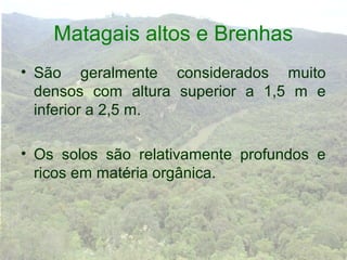 Matagais altos e Brenhas
• São geralmente considerados muito
  densos com altura superior a 1,5 m e
  inferior a 2,5 m.

• Os solos são relativamente profundos e
  ricos em matéria orgânica.
 