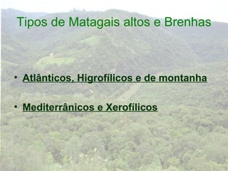 Tipos de Matagais altos e Brenhas



• Atlânticos, Higrofílicos e de montanha

• Mediterrânicos e Xerofílicos
 