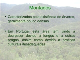 Montados
• Caracterizados pela existência de árvores,
  geralmente pouco densas.

• Em Portugal esta área tem vindo a
  decrescer devido a fungos e a outras
  pragas, assim como devido a práticas
  culturais desadequadas.
 