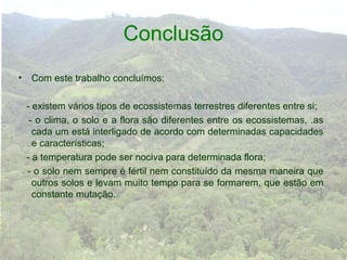 Conclusão
•    Com este trabalho concluímos:

    - existem vários tipos de ecossistemas terrestres diferentes entre si;
     - o clima, o solo e a flora são diferentes entre os ecossistemas, .as
      cada um está interligado de acordo com determinadas capacidades
      e características;
    - a temperatura pode ser nociva para determinada flora;
    - o solo nem sempre é fértil nem constituído da mesma maneira que
      outros solos e levam muito tempo para se formarem, que estão em
      constante mutação.
 