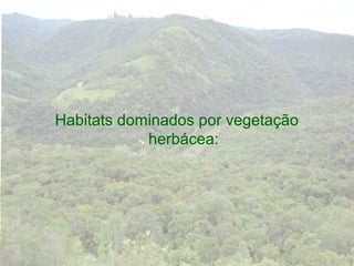 Habitats dominados por vegetação
            herbácea:
 