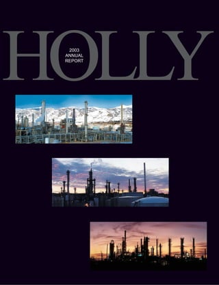 HOLLY
  2003
 ANNUAL
 REPORT
 