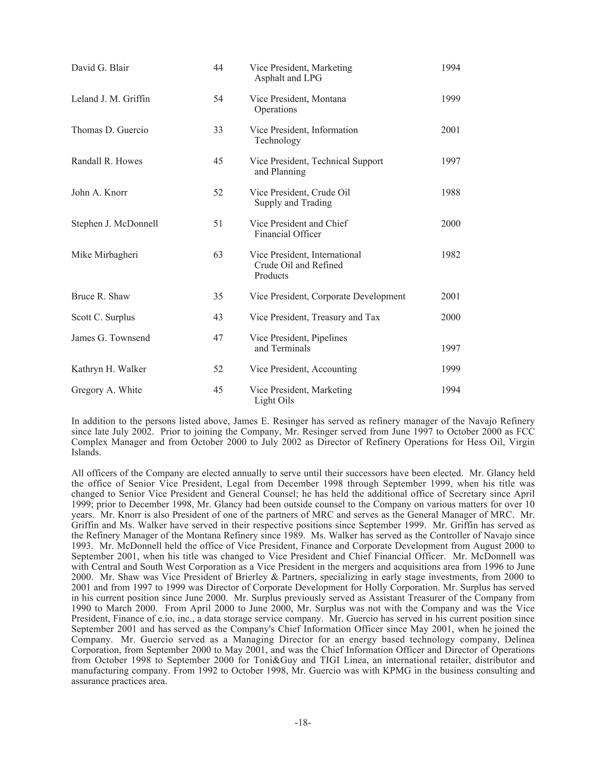 hollycorp.annualreport.2002