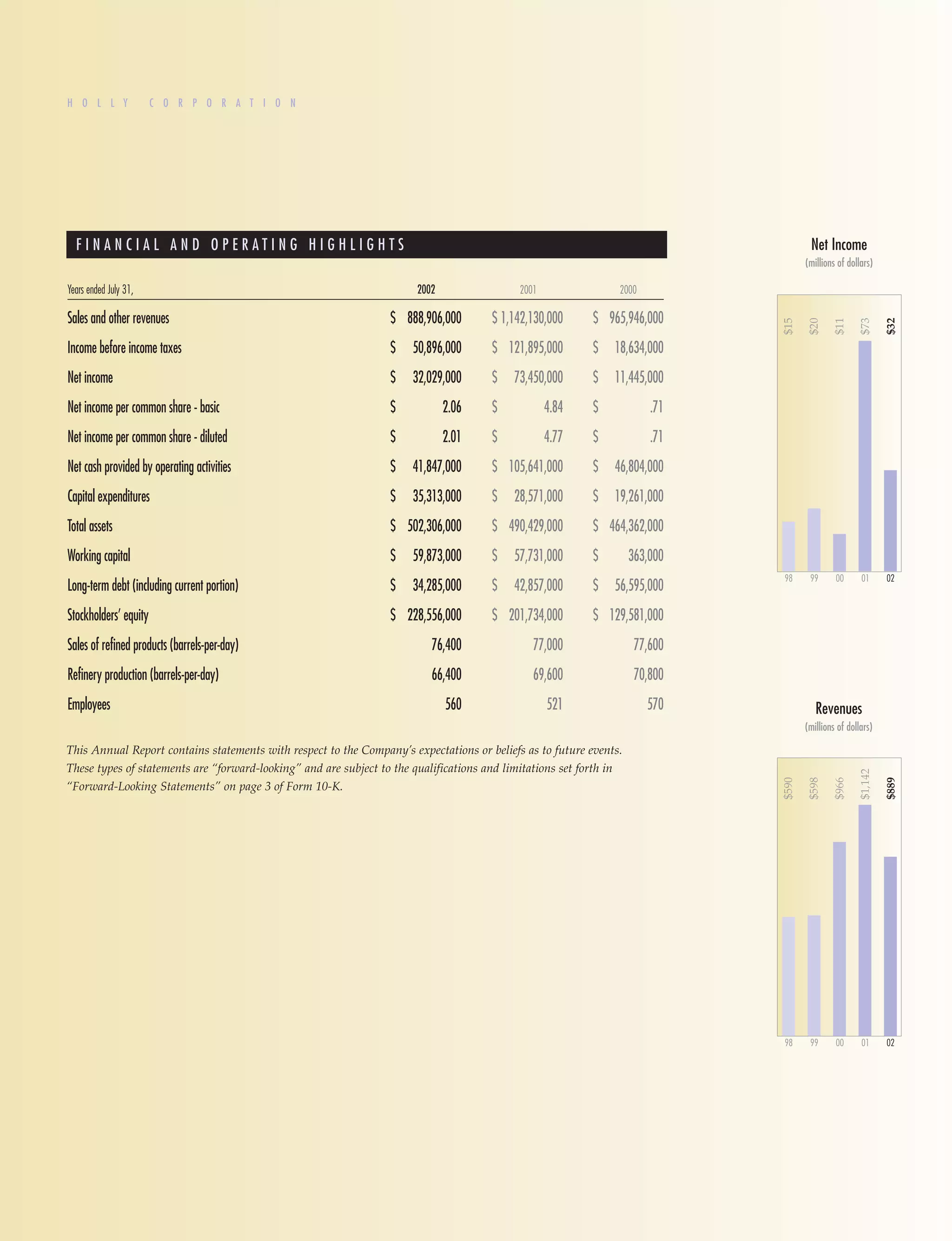 hollycorp.annualreport.2002