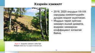 Хээрийн хэмжилт
10
Зураг 4 Хээрийн хэмжилт хийж буй
байдал 2020 оны 7-р сарын 5 Хангал сум
• 2018, 2020 онуудын VII-VIII
саруудад хэмжилтүүдийн
дундаж мэдээг ашигласан.
• Моддын төрөл зүйлээс
хамаарч ишний диаметр,
өндрөөс хамаарсан
коэффициент ялгаатай
байна.
 