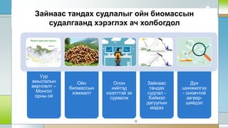 Зайнаас тандах судлалыг ойн биомассын
судалгаанд хэрэглэх ач холбогдол
6
Уур
амьсгалын
өөрчлөлт –
Монгол
орны ой
Ойн
биомассын
хэмжилт
Олон
нийтэд
нээлттэй эх
сурвалж
Зайнаас
тандах
судлал -
Хиймэл
дагуулын
мэдээ
Дүн
шинжилгээ
- оновчтой
загвар-
шийдэл
 