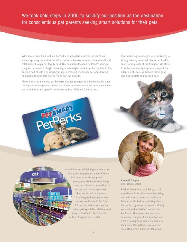 petsmart cat attract