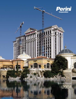 Annual Report
    2004
 