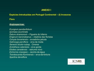 ANEXO I
Espécies Introduzidas em Portugal Continental – (I) Invasoras

Flora

Angiospermae:

Eryngium pandanifolium
Ipomaea acuminata
Datura stramonium – Figueira do Inferno
Erigerum karvinskianus – vitadinia das floristas
Conyza bonariensis – avoadinha peluda
Galinsoga parviflora - erva da moda
Senecio bicolor subsp. Cinerea
Arctotheca calendula – erva gorda
Elodea canadensis - estrume novo
Eichornia crassipes – Jacinto-de-água
Trandescantia fluminensis – erva-da-fortuna
Spartina densiflora
 