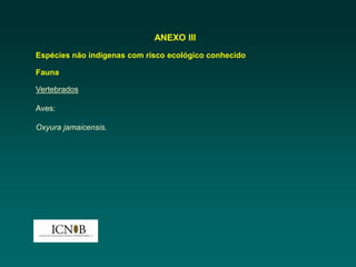 ANEXO III
Espécies não indígenas com risco ecológico conhecido

Fauna

Vertebrados

Aves:

Oxyura jamaicensis.
 