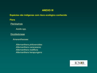 ANEXO III
Espécies não indígenas com risco ecológico conhecido

Flora
Pteridophyta

        Azolla spp.

Dicotiledoneae

  Amaranthaceae:

        Alternanthera philoxeroides
        Alternanthera caracasana;
        Alternanthera nodiflora;
        Alternanthera herapungens
 