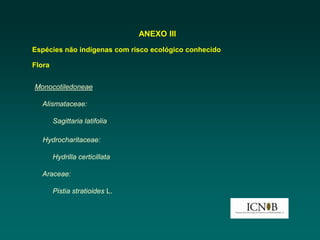 ANEXO III
Espécies não indígenas com risco ecológico conhecido

Flora


Monocotiledoneae

  Alismataceae:

        Sagittaria latifolia

   Hydrocharitaceae:

        Hydrilla certicillata

  Araceae:

        Pistia stratioides L.
 