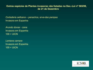 Outras espécies de Plantas invasoras não listadas no Dec.-Lei nº 565/99,
                            de 21 de Dezembro


Cortaderia selloana – penachos, erva-das pampas
Invasora em Espanha

Arundo donax - cana
Invasora em Espanha
100 + UICN

Lantana camara
Invasora em Espanha
100 + UICN
 