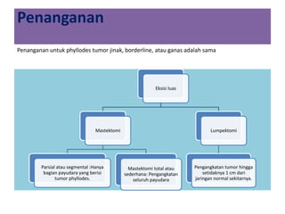 Penanganan
Penanganan untuk phyllodes tumor jinak, borderline, atau ganas adalah sama
Eksisi luas
Mastektomi
Parsial atau segmental :Hanya
bagian payudara yang berisi
tumor phyllodes.
Mastektomi total atau
sederhana: Pengangkatan
seluruh payudara
Lumpektomi
Pengangkatan tumor hingga
setidaknya 1 cm dari
jaringan normal sekitarnya.
 