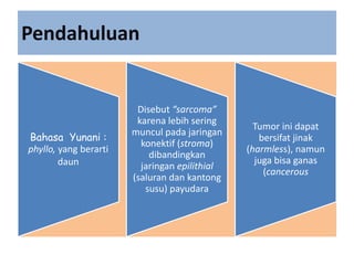Pendahuluan
Bahasa Yunani :
phyllo, yang berarti
daun
Disebut “sarcoma”
karena lebih sering
muncul pada jaringan
konektif (stroma)
dibandingkan
jaringan epilithial
(saluran dan kantong
susu) payudara
Tumor ini dapat
bersifat jinak
(harmless), namun
juga bisa ganas
(cancerous
 