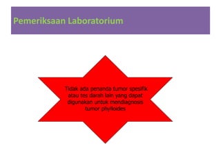 Pemeriksaan Laboratorium
Tidak ada penanda tumor spesifik
atau tes darah lain yang dapat
digunakan untuk mendiagnosis
tumor phylloides
 