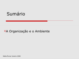 Sumário 
A Organização e o Ambiente 
Nádia Évora/ Janeiro 2008 
 