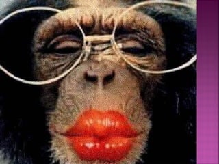 122983 apresentação meu_primeiro_beijo