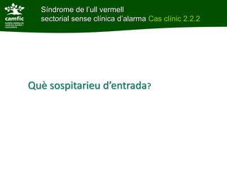 Síndrome de l’ull vermell
  sectorial sense clínica d’alarma Cas clínic 2.2.2




Què sospitarieu d’entrada?
 