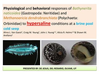 Physiological and behavioral responses of Bathynerita
naticoidea (Gastropoda: Neritidae) and
Methanoaricia dendrobranchiata (Polychaeta:
Orbiniidae) to hypersaline conditions at a brine pool
cold seep
Ahna L. Van Gaest1, Craig M. Young1, John J. Young1,2, Alicia R. Helms1,3 & Shawn M.
Arellano1




                   PRESENTED BY: DE JESUS, DEL ROSARIO, OLIVAR, UY
 