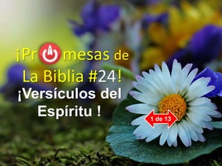 ¡Pr mesas de
La Biblia #24!
¡Versículos del
Espíritu ! 1 de 13
 