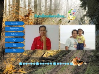 โครงหน้า
สีของดวงตา
ริมฝีปาก
จมูก
สีผิว
นิสัย
 