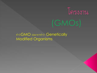 คำว่ำGMO ย่อมำจำกคำว่ำ Genetically
Modified Organisms
 