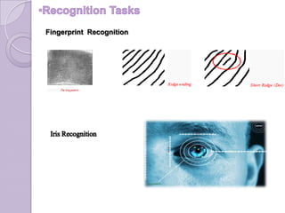 Fingerprint Recognition
 