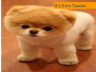 It’s from Tawian




B
 