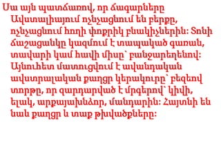Սա այն պատճառով, որ ճագարները
Ավստալիայում ոչնչացնում են բերքը,
ոչնչացնում հողի փոքրիկ բնակիչներին: Տոնի
ճաշացանկը կազմում է տապակած գառան,
տավարի կամ հավի միսը` բանջարեղենով:
Այնուհետ մատուցվում է ավանդական
ավստրալական քաղցր կերակուրը` բեզեով
տորթը, որ զարդարված է մրգերով` կիվի,
ելակ, արքայախնձոր, մանդարին: Հայտնի են
նաև քաղցր և տաք թխվածքները:
 