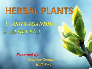 Presented By:-
Abhinav Somani
Roll No.1
 