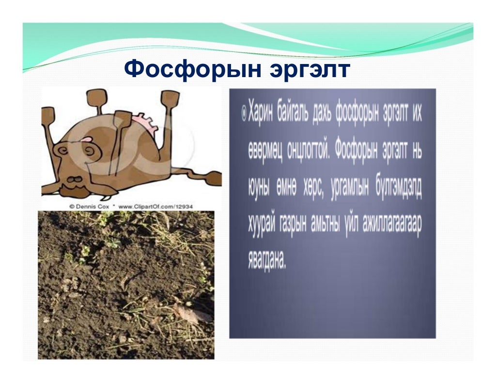 "Экологи байгаль хамгаалал" Хичээл-2