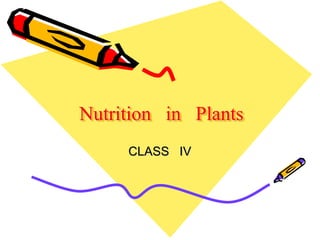 Nutrition in Plants
CLASS IV
 