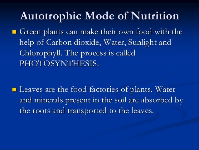 Green Plants Make Their Own Food In A Process Called Green Plants Make Their Own Food In A Process Called