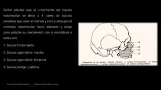 Sicher plantea que el crecimiento del macizo
nasomaxilar se debe a 4 pares de suturas
paralelas que unen el cráneo y cara y empujan el
complejo nasomaxilar hacia adelante y abajo
para adaptar su crecimiento con la mandíbula y
estas son:
1. Sutura frontomaxilar.
2. Sutura cigomático- maxilar.
3. Sutura cigomático- temporal.
4. Sutura pterigo- palatina.
ATLAS DE ORTOPEDIA MAXILAR THOMAS RAKOSI IRMTRUD JONAS
 