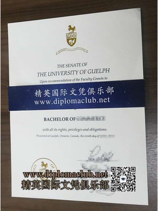 Guelph University Diploma Sample