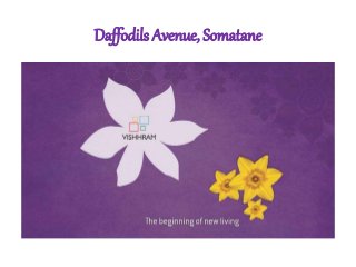 Daffodils Avenue, Somatane
 