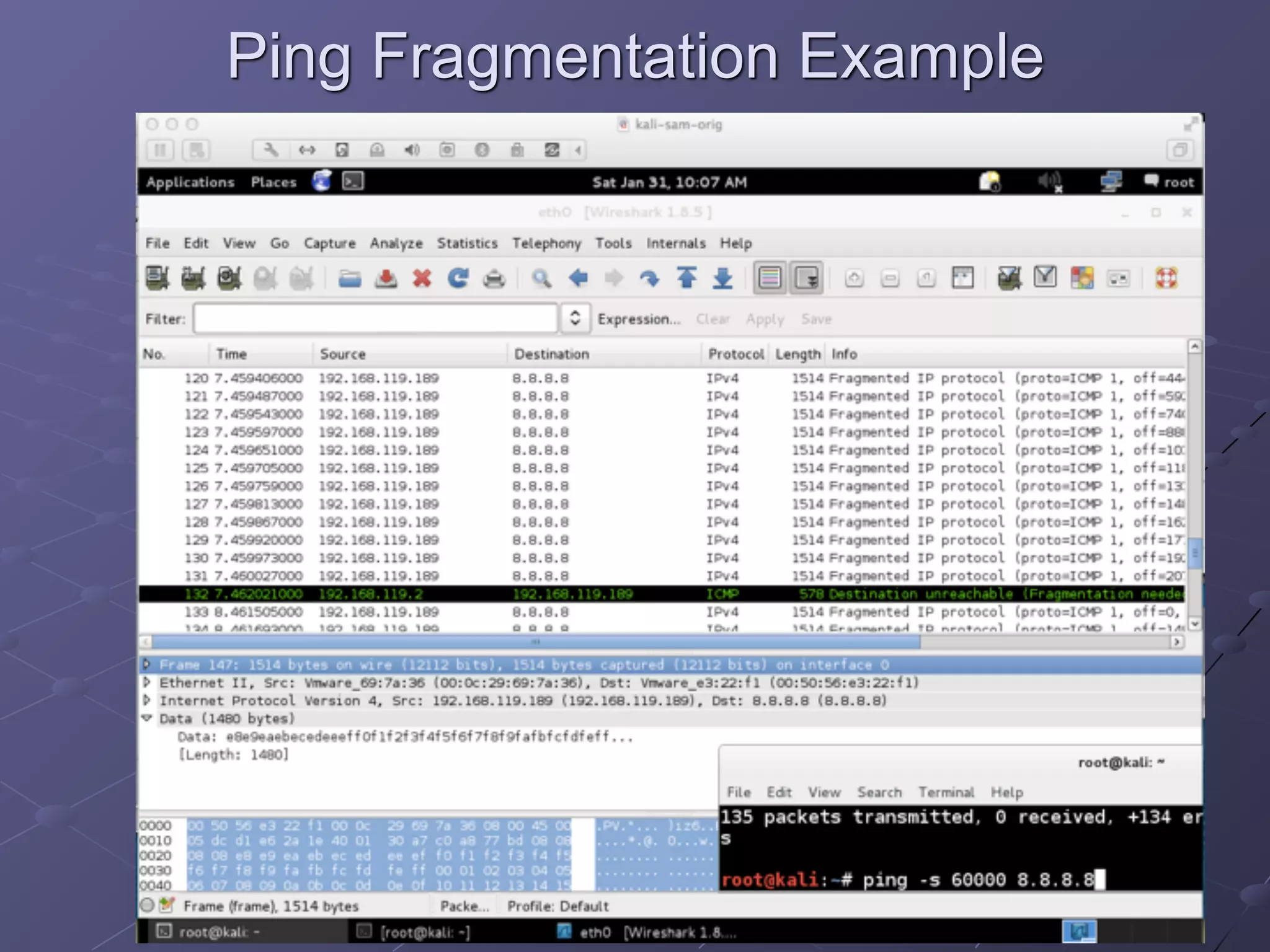 Ping Fragmentation Example
 