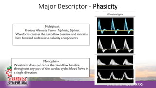Major Descriptor - Phasicity
 