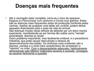Doenças mais frequentes
•

Até a vacinação estar completa, corre-se o risco de aparecer
Esgana ou Parvovirose num cachorro e Coriza num gatinho. Estas
são as doenças mais frequentes antes da protecção conferida pelas
vacinas. Apesar de qualquer uma delas ser curável, podem deixar
sequelas importantes para o resto da vida do animal.
São doenças muitas vezes difíceis de detectar por um dono menos
experiente, manifestando-se por formas tão subtis como "remela"
esverdeada, diarreia ou tosse.
Outro problema importante, mas facilmente evitável, é o parasitismo
intestinal, que pode causar desnutrição e atrasos de
desenvolvimento dos bebés. Os sintomas mais evidentes são a
diarreia, vómitos e o sinal mais característico de arrastarem o
"rabinho" no chão. Com o desparasitante adequado, habitualmente
administrado pelo Médico Veterinário durante a consulta, conseguese resolver facilmente a questão.

 