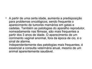 • A partir de uma certa idade, aumenta a predisposição
para problemas oncológicos, sendo frequente o
aparecimento de tumores mamários em gatas e
cadelas. Também as patologias do aparelho reprodutor,
nomeadamente nas fêmeas, são mais frequentes a
partir dos 3 anos de idade. O aparecimento de um
corrimento vaginal anormal, fora da época de cio, é o
sinal de alarme.
Independentemente das patologias mais frequentes, é
essencial a consulta veterinária anual, mesmo de um
animal aparentemente saudável.

 