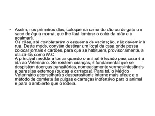 •

Assim, nos primeiros dias, coloque na cama do cão ou do gato um
saco de água morna, que lhe fará lembrar o calor da mãe e o
acalmará.
Os cães, até completarem o esquema de vacinação, não devem ir à
rua. Deste modo, convém destinar um local da casa onde possa
colocar jornais e cartões, para que se habituem, provisoriamente, a
utilizá-los como W.C.
A principal medida a tomar quando o animal é levado para casa é a
ida ao Veterinário. Se existem crianças, é fundamental que se
despistem doenças parasitárias, nomeadamente vermes intestinais
e parasitas externos (pulgas e carraças). Para tal, o Médico
Veterinário aconselhará o desparasitante interno mais eficaz e o
método de combate às pulgas e carraças inofensivo para o animal
e para o ambiente que o rodeia.

 