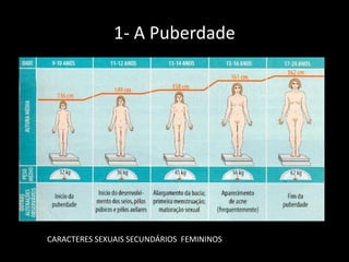 1- A Puberdade

CARACTERES SEXUAIS SECUNDÁRIOS FEMININOS

 