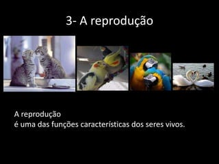 3- A reprodução

A reprodução
é uma das funções características dos seres vivos.

 