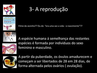 3- A reprodução
Filme do zezinho?? Ou do “era uma vez a vida - o nascimento”??

A espécie humana á semelhança das restantes
espécies é formada por indivíduos do sexo
feminino e masculino.
A partir da puberdade, os óvulos amadurecem e
começam a ser libertados de 28 em 28 dias, de
forma alternada pelos ovários ( ovulação).

 
