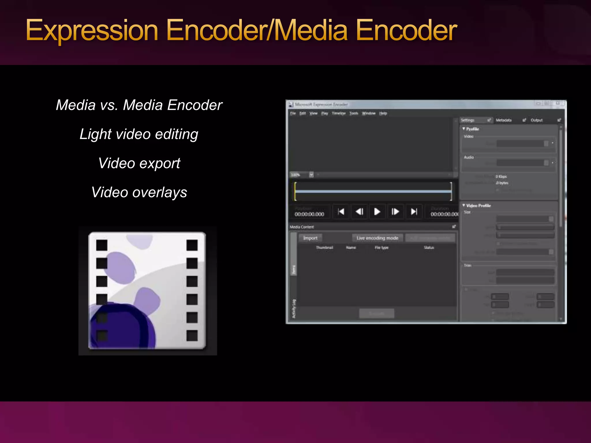 The Business of Microsoft Silverlight